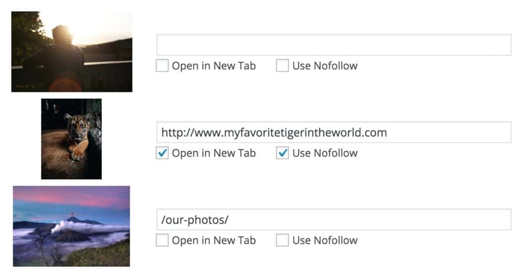 Add Custom Links to Images