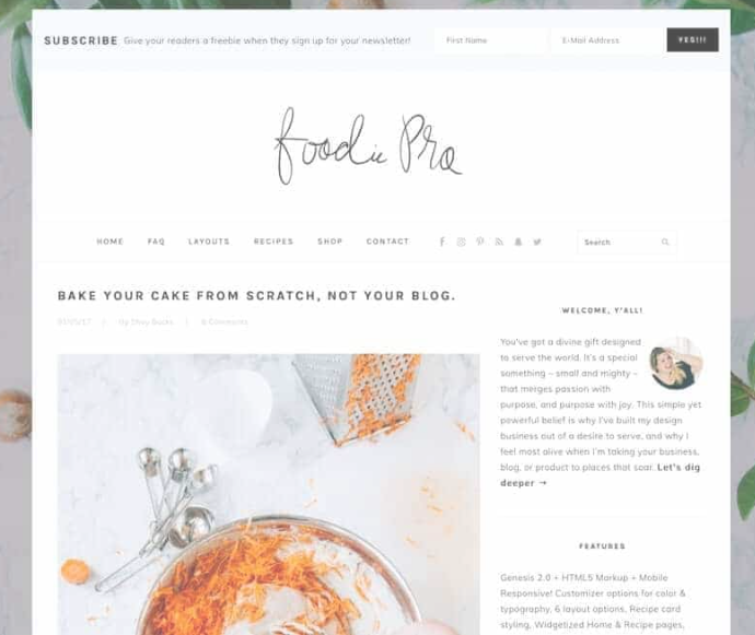 Foodie Pro has been designed specifically with recipe websites in mind. 